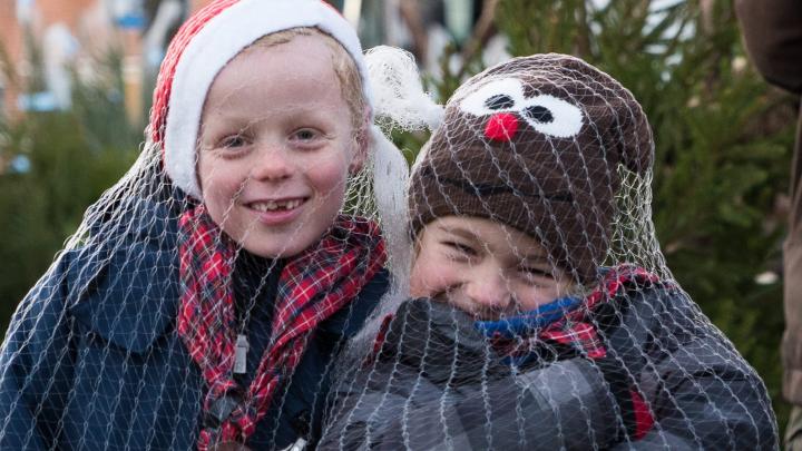 To spejdere hygger sig med at sælge juletræer.